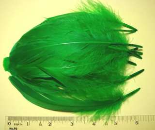 36 Green cockatoo BIRD Feather art craft mask costume  