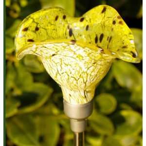  Firefly Solar Florals   Calla Lily Yellow: Patio, Lawn 