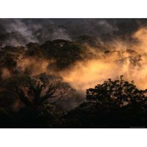 Fading Sunlight Tints the Rain Forest Mist National Geographic 