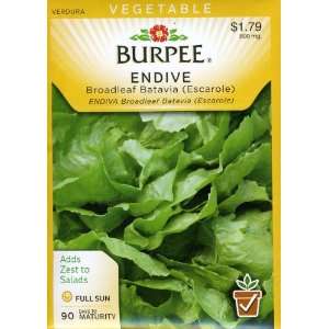  Burpee 57014 Endive Broad Leaved Batavian Seed Packet 