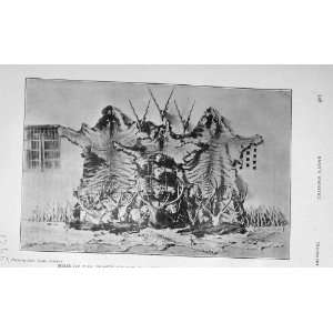   1906 Antique Print Beasts Killed Felix India Animals