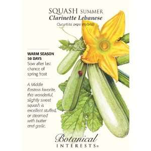  Squash Summer Clarinette Lebanese Zucchini Seed Patio 