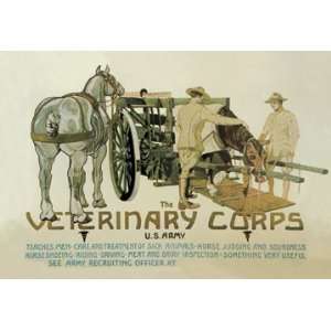  Veterinary Corps. U.S. Army 24X36 Giclee Paper