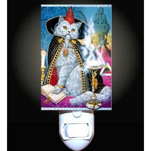  Cat Wizard Decorative Night Light: Home Improvement