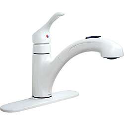 Moen One handle Low Arc Pull out Kitchen Faucet  Overstock