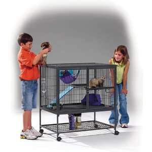  Ferret Nation #181   Single Cage: Pet Supplies