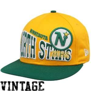   Minnesota North Stars Gold Green Stoked Snapback Hat Sports