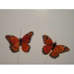 Feathered Orange Monarch Butterfly 4 X 3 (2 Pieces 