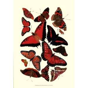  Red Butterfly Study Poster by Vision studio (13.00 x 19.00 