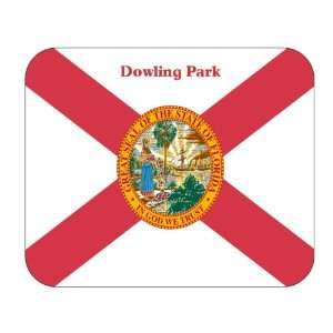  US State Flag   Dowling Park, Florida (FL) Mouse Pad 