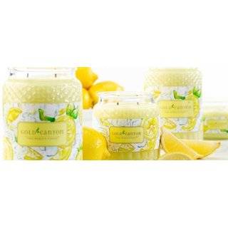  3  6.5 oz Scented Jar Candles