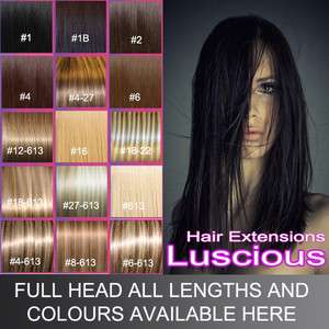 Remy Human Hair Weft   Get all Lengths and Colours Here  