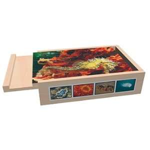  INSECT BOX PUZZLES Toys & Games