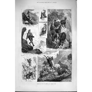    1880 CHAMOIS HUNTING TYROL MOUNTAINS SHOOTING SPORT