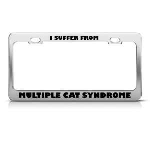 Suffer From Multiple Cat Syndrome license plate frame Stainless