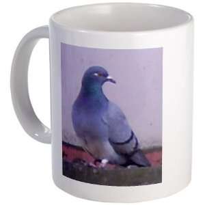  Random Pigeon Cute Mug by 