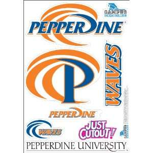    Pepperdine University   Waves Wall Graphic