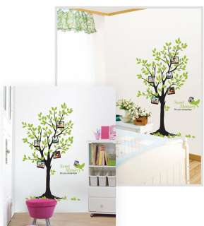 Big Photo Tree Adhesive WALL STICKER Removable Decal  