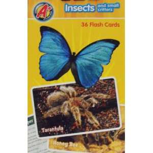  A+ Insects and small critters 36 full color flash cards 