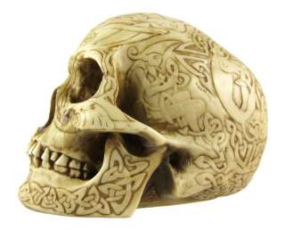 Celtic Knotwork Human Skull Statue Figure Bone Finish  