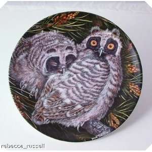  The Baby Owls Long eared Owl Chicks Twinney Plate