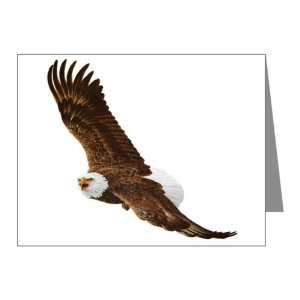  Note Cards (20 Pack) Bald Eagle Flying 