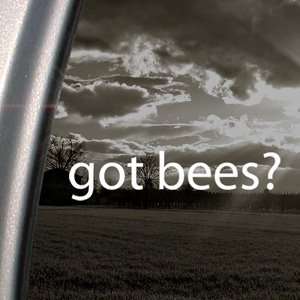 Got Bees? Decal Honey Bumble Truck Window Sticker 