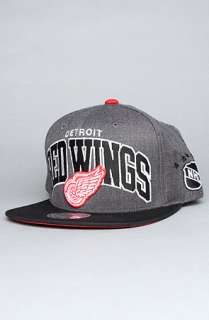 Mitchell & Ness The Detroit Red Wings Arch Logo G2 Snapback Hat in 