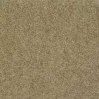 Flooring   Carpet & Carpet Tile   Carpet   