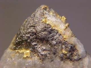 CLASSIC Native Gold & Arsenopyrite Crystal HOMESTAKE MINE, SOUTH 