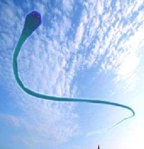 Huge Snake Parafoil Soft Kite   35 Meters Camouflage  
