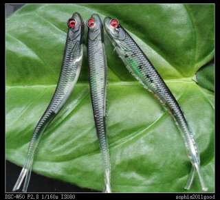   .5cm Trout soft plastic fish bass lure vivid bait tackle fishing bait