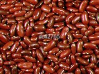 Dark Red Kidney Bean great in chili (200plus + seeds)