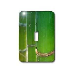  Florene Macro Plant   Bamboo Smooth   Light Switch Covers 