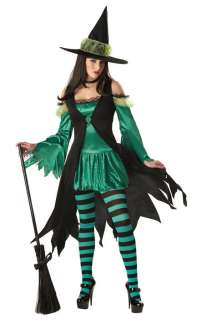 NEW Emerald Witch Women Adult Halloween Outfit Costume S M L XL  