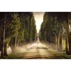 Jimmy Williams 36W by 24H  Cypress Lined Road II, Siena Tuscany 