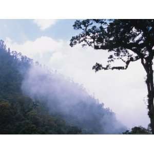  Cloud Forest near Fuentes Georginos and Quatzaltenango 