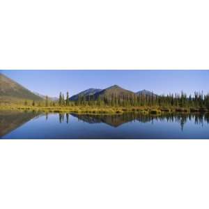  of Pine Trees in Water, View from Dempster Highway, Blackstone 
