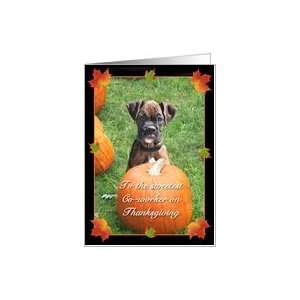  Happy Thanksgiving Co worker Boxer Puppy Card Health 