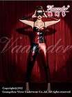   Harley Quinn Jester Masquerade Mardi Gras Circus Fancy Dress Costume
