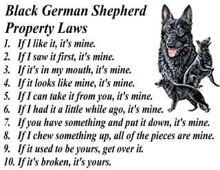 BLACK GERMAN SHEPHERD PROPERTY LAWS OF THE DOG T SHIRT  