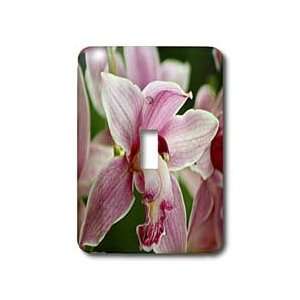 SmudgeArt Orchid Flower Designs   ORCHID   B   Light Switch Covers 