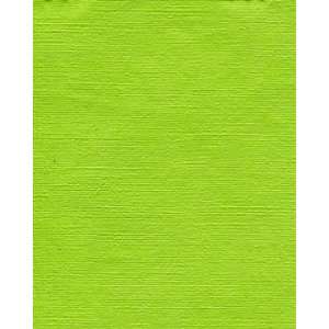   Summer Brights Lime Green 60 Round Vinyl Tablecloth
