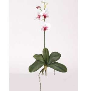  Mini Phalaenopsis Silk Orchid Flower w/Leaves (6 Stems 