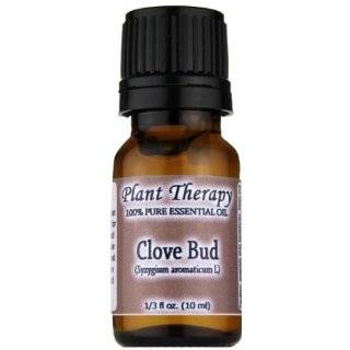 now foods clove oil 4 ounce dentemp temporary cavity filling